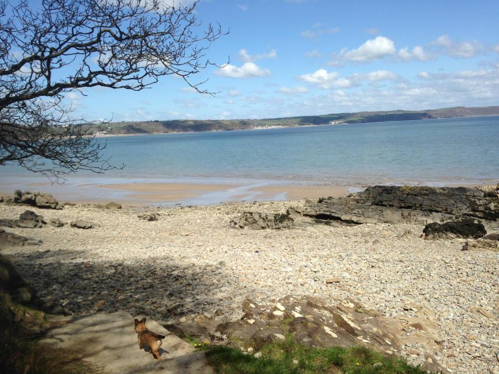 Merlewood Hotel Saundersfoot Dış mekan fotoğraf